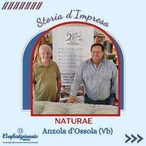 Il manager-artigiano crea "Naturae" nel laboratorio storico: "Solo materassi e cuscini di qualità grazie a un'anima green"