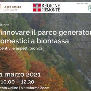 Incentivi generatori a biomassa: webinar il 31.3
