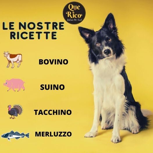  "Que Rico" suggerisce gli alimenti giusti per il tuo cane e li prepara: "Algoritmo e cibi sani contro le malattie"